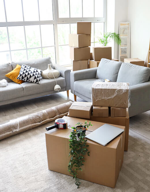 Modern living room with moving boxes during a home downsizing process